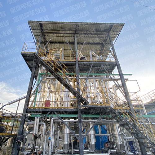 硫（liú）酸鋅蒸發（fā）結晶器