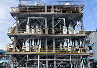 高鹽廢（fèi）水蒸發器廠家-青島草莓丝瓜向日葵黄瓜榴莲污绿巨人