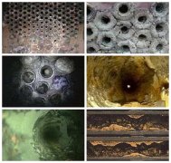 了解鈣鎂（měi）氟（fú）在蒸發器運行中的危害和處理方法