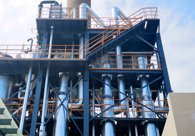 三效蒸發器-青島（dǎo）草莓丝瓜向日葵黄瓜榴莲污绿巨人