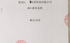 草莓丝瓜向日葵黄瓜榴莲污绿巨人開拓黑（hēi）龍江製藥廢水處（chù）理新市場